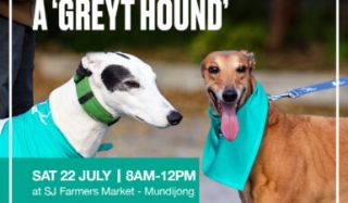 pet adoption places in perth Greyhounds As Pets