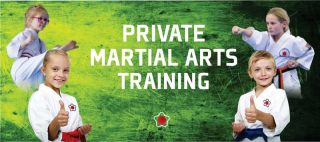 kendo lessons perth Shobukan Martial Arts