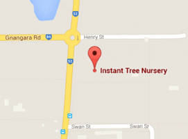 nursery hours perth Instant Tree Nursery