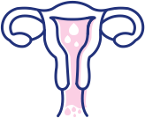 fetal dna test perth QDOS Ultrasound