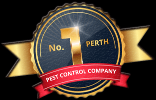 pest control stores perth Chambers Pest Solutions