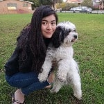 dog sitter perth Pawshake | Perth Pet Sitting, Dog Sitting and Dog Boarding