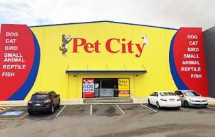 reptile shops in perth Pet City