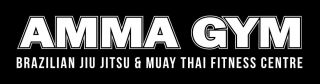academies to learn muay thai in perth The Academy of Mixed Martial Arts