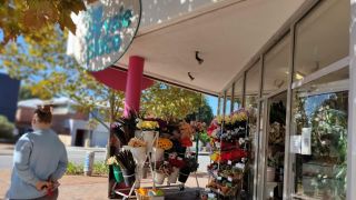 artificial flower shops in perth The Chrysie Place-Florist Supplies