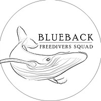 scuba diving beginners courses perth Blueback Freediving & Yoga