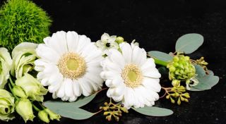 Sympathy Flowers from $60