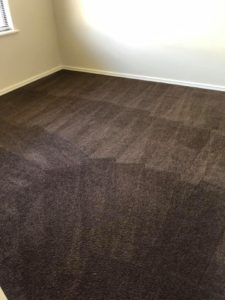 carpet washing perth D G CARPET CLEANING PERTH upholstery & Carpet Cleaning Perth