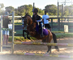 places to ride a horse in perth Sandeli Park Equestrian Centre