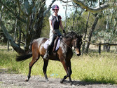 places to ride a horse in perth Sandeli Park Equestrian Centre